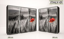 Italy style tolóajtós gardrób-img-4993-original.jpg